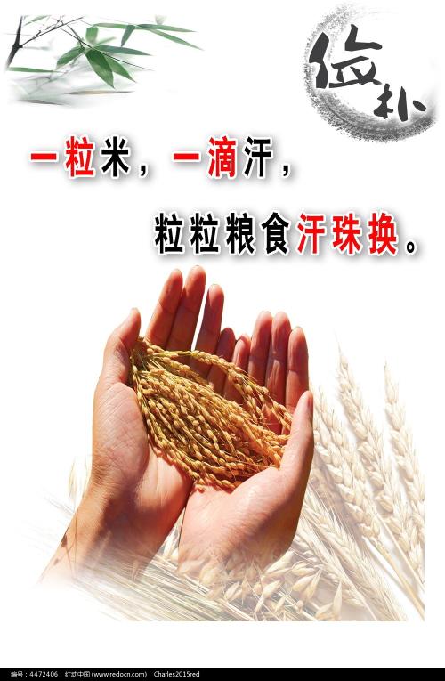加拿大身份证怎么买假的